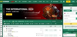 Experience the Thrill of Betwinner Betting Your Guide to Winning