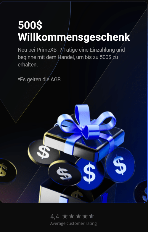 Erfolgreich handeln mit PrimeXBT Forex Eine umfassende Anleitung